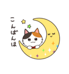 りぼんねこたん(丁寧)（個別スタンプ：3）