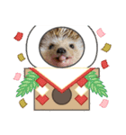 お正月はるちゃん（個別スタンプ：1）