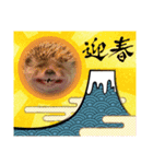 お正月はるちゃん（個別スタンプ：6）