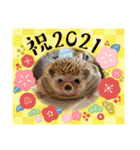 お正月はるちゃん（個別スタンプ：10）