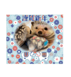 お正月はるちゃん（個別スタンプ：13）