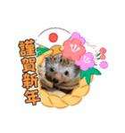 お正月はるちゃん（個別スタンプ：14）