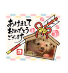 お正月はるちゃん（個別スタンプ：17）