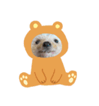 お正月はるちゃん（個別スタンプ：20）