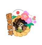 お正月はるちゃん（個別スタンプ：23）