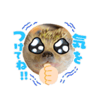 お正月はるちゃん（個別スタンプ：24）