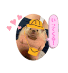 お正月はるちゃん（個別スタンプ：27）