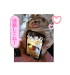 お正月はるちゃん（個別スタンプ：30）