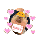 お正月はるちゃん（個別スタンプ：32）