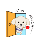 トイプードルのぴっちゃん・ゆっちゃん2（個別スタンプ：7）