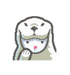ピクセルシロくん アントニーの日常 2（個別スタンプ：31）