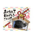 オキ＆さい＆カースケ＆ぐん（個別スタンプ：7）
