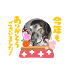 オキ＆さい＆カースケ＆ぐん（個別スタンプ：8）