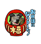 オキ＆さい＆カースケ＆ぐん（個別スタンプ：10）