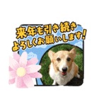 オキ＆さい＆カースケ＆ぐん（個別スタンプ：11）