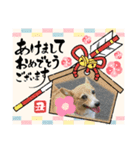 オキ＆さい＆カースケ＆ぐん（個別スタンプ：12）