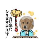 オキ＆さい＆カースケ＆ぐん（個別スタンプ：13）