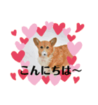オキ＆さい＆カースケ＆ぐん（個別スタンプ：14）