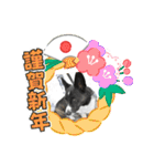 オキ＆さい＆カースケ＆ぐん（個別スタンプ：20）