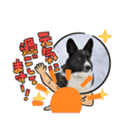 オキ＆さい＆カースケ＆ぐん（個別スタンプ：23）