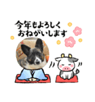 オキ＆さい＆カースケ＆ぐん（個別スタンプ：29）