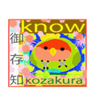 特別なコザクラインコと一緒（個別スタンプ：12）