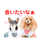 マティラとノアールのキュートなスタンプ（個別スタンプ：1）