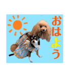 マティラとノアールのキュートなスタンプ（個別スタンプ：2）