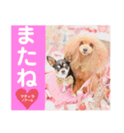 マティラとノアールのキュートなスタンプ（個別スタンプ：6）