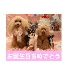 マティラとノアールのキュートなスタンプ（個別スタンプ：23）
