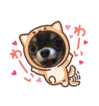 KOKINⓒ2（個別スタンプ：2）