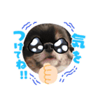 KOKINⓒ2（個別スタンプ：5）