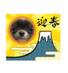 KOKINⓒ2（個別スタンプ：9）