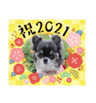 KOKINⓒ2（個別スタンプ：11）