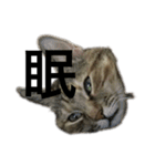 猫と漢字（個別スタンプ：1）