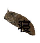 猫と漢字（個別スタンプ：2）