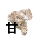 猫と漢字（個別スタンプ：24）