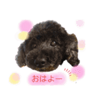 ナナちゃんず2（個別スタンプ：5）