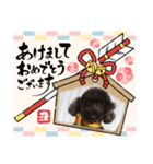 ナナちゃんず2（個別スタンプ：13）