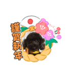 ナナちゃんず2（個別スタンプ：15）