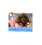 ナナちゃんず2（個別スタンプ：16）