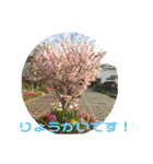 フラワーガーデンワールド（個別スタンプ：26）