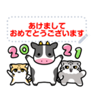 ゆるっとマヌルちゃん8 年末年始メッセージ（個別スタンプ：5）