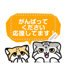 ゆるっとマヌルちゃん8 年末年始メッセージ（個別スタンプ：22）