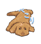 ぴーたんとぱーたんの日常！（個別スタンプ：11）