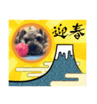 そる元旦挨拶（個別スタンプ：3）