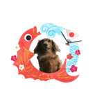 1. チェリー、カシス（個別スタンプ：3）
