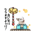 1. チェリー、カシス（個別スタンプ：4）