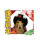 1. チェリー、カシス（個別スタンプ：5）