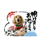 1. チェリー、カシス（個別スタンプ：8）